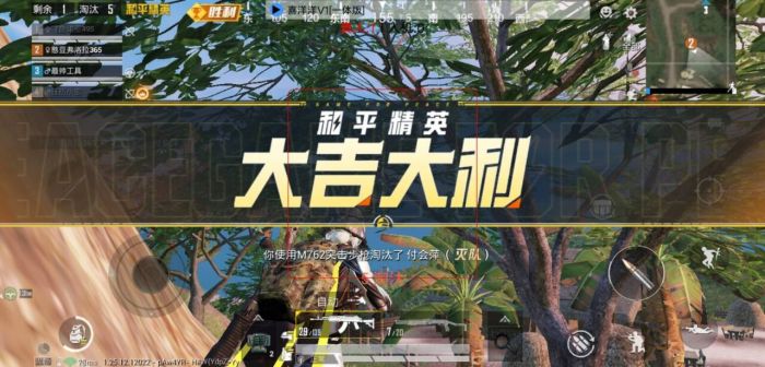 和平精英透视挂 - 全地图高亮透视黑科技